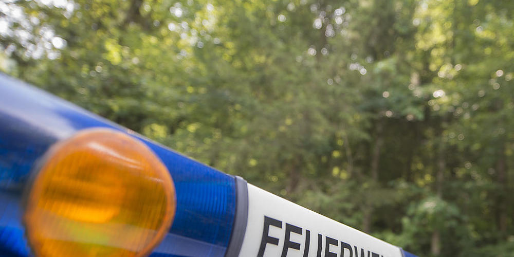 Die Feuerwehren Neuenkirch-Hellbühl und Emmen mussten am frühen Freitagmorgen zu einem Brand ausrücken. (Symbolbild)