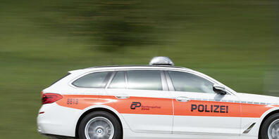 Die Kantonspolizei Zürich stoppte am Freitagmorgen einen Falschfahrer auf der A52 bei Hinwil. (Symbolbild)