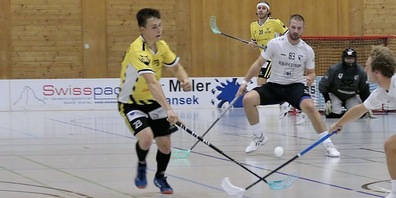 Gegen die beiden Tabellenbesten war für die Gators nichts zu holen (Archivbild)