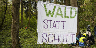 Bis Samstag dürfen die Wald-Besetzerinnen und -Besetzer vorerst noch bleiben. (Archivbild)