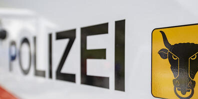 Der beim Unfall verursachte Sachschaden wird von der Polizei auf 2500 Franken beziffert. (Symbolbild)