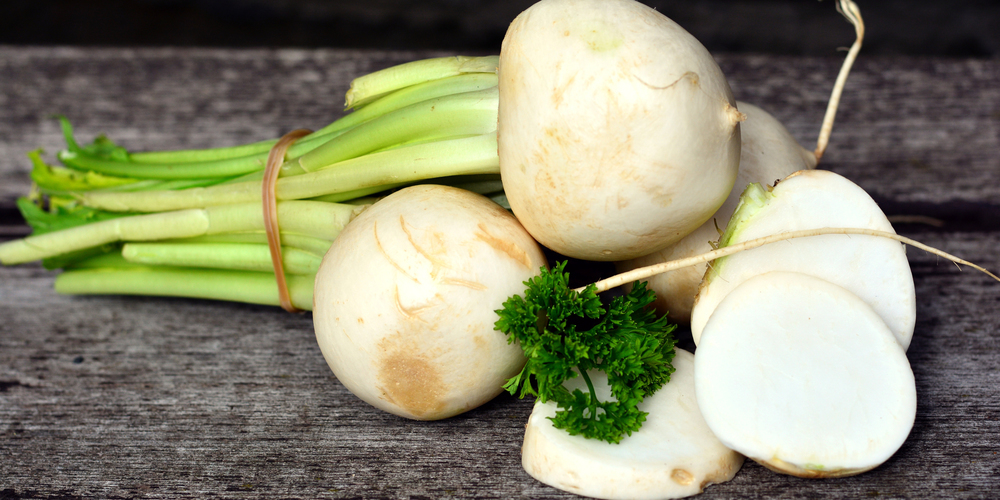 Die Mairübe ist etwas kleiner als die Herbstrübe. 
