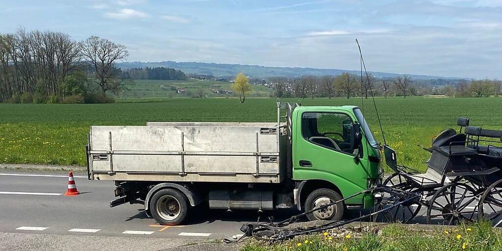 Kutsche und Lieferwagen wurden bei dem Vorfall beschädigt.