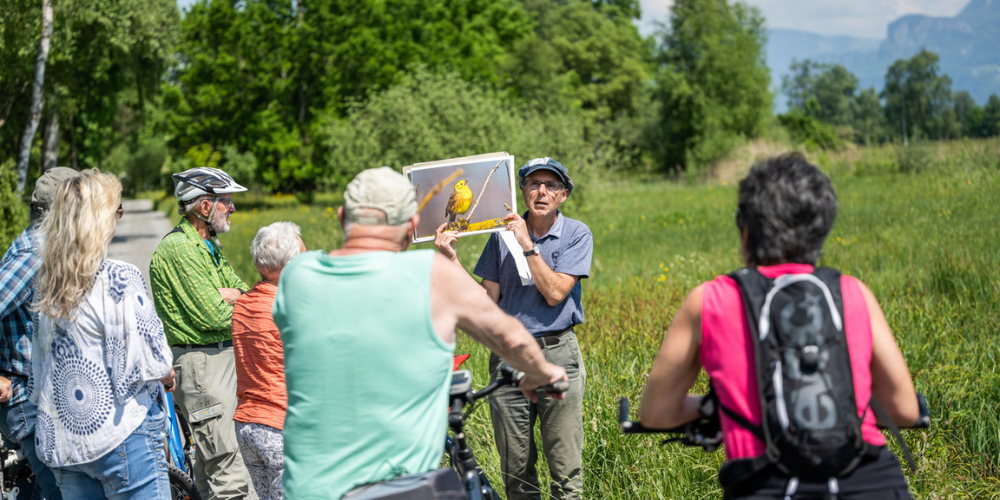 Auf der Veloexkursion erfahren die Besuchenden viel Interessantes zu den Tieren im Riet. 