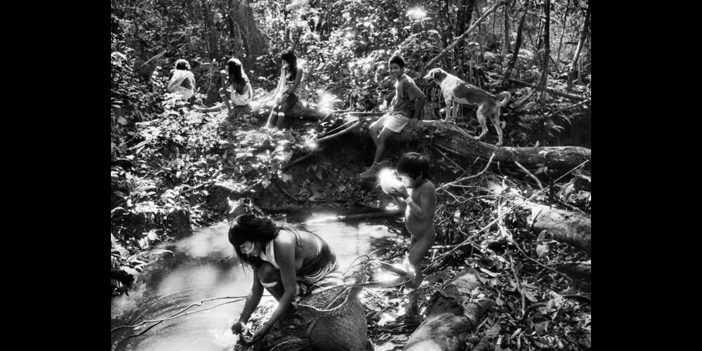 Mit seinen Fotografien nimmt der Brasilianer Sebastião Salgado die Besucher seiner «Amazônia»-Ausstellung mit auf eine eindrückliche Reise durch den grössten Regenwald der Welt.