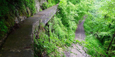 Der Plättliweg im Sagenraintobel (Wald ZH).