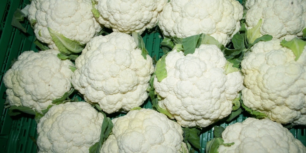 Blumenkohl stammt aus Kleinasien.