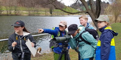 Birdlife Luzern organisiert Exkursionen in der Natur für Kinder und Jugendliche.