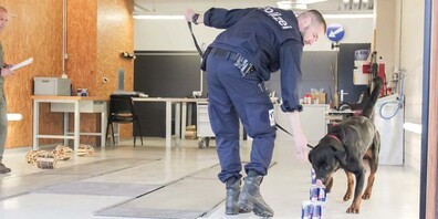 Auf eine gute Nase kam es an. 