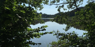 Blick vom Damm auf den Biessenhofer Weiher.