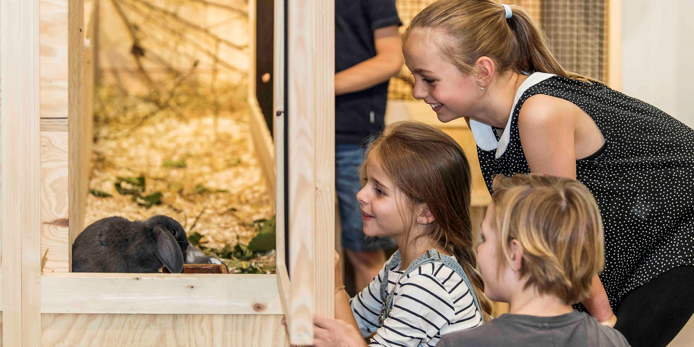 Der «Osterhase» legt zwar keine Eier, darf in der Sonderausstellung «Allerlei rund ums Ei» aber nicht fehlen. Die Kaninchenfamilie erfreut sich bei Klein und Gross besonderer Beliebtheit