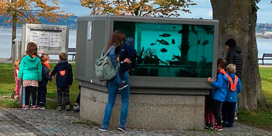 Er sorgte immer wieder auch für Kritik vonseiten Tierschutzorganisationen: der «Fischkasten» in den Lachner Seeanlagen.