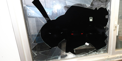 Kaum aus der Haft entlassen, beging der Beschuldigte den nächsten Einbruchsversuch. 