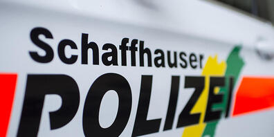 Die Schaffhauser Polizei verhaftete am Montagabend mehrere Personen, die an einer Schlägerei in einem Zug beteiligt gewesen sein sollen. (Symbolbild)
