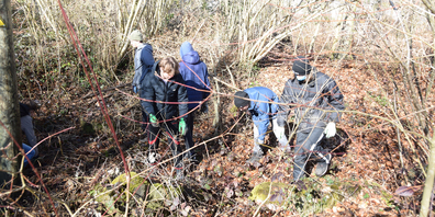 Die Gruppen von Schülerinnen und Schülern der Kantonsschule Ausserschwyz säubern den Wald beim Spreitenbach.