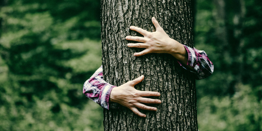 Die Gemeinden Gossau und Grüningen wehren sich dagegen, dass ein intakter Wald mit einer Grösse von 14 Fussballfeldern gerodet wird.