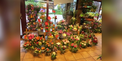 Der Blumenladen Pünter geht in neue Hände. (Symbolbild)