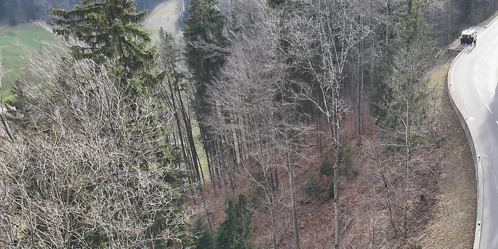 Der Töfffahrer prallte in einer Linkskurve gegen die niedrige Stützmauer am Fahrbahnrand und flog darüber und den Abhang hinunter.