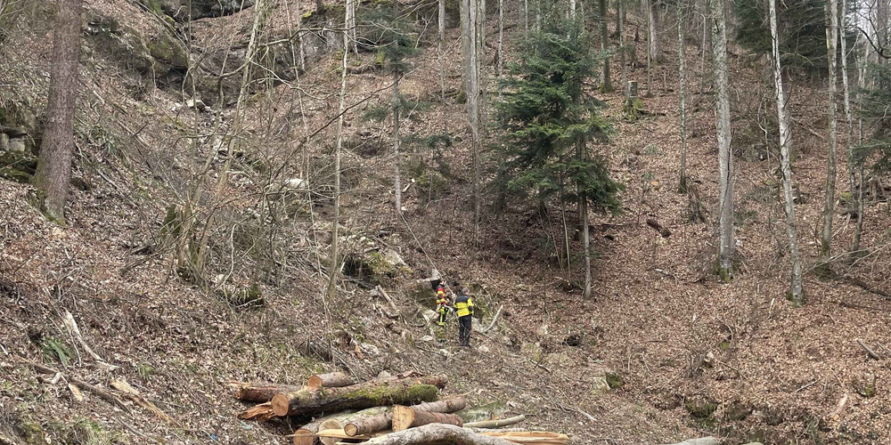Im Gebiet Guggähürliweg wurde einem Berggänger ein grosser Stein zum Verhängnis.