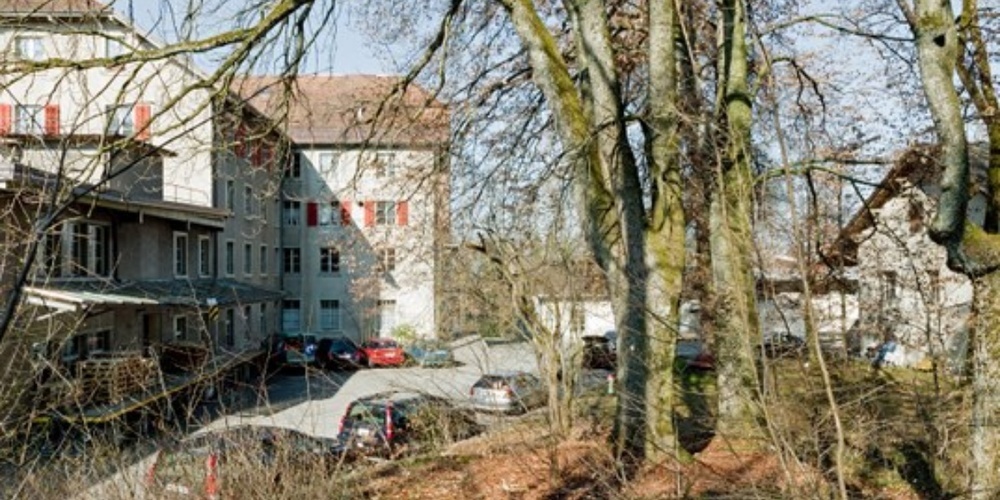 Aus Sicherheitsgründen werden im Parkwäldchen Schönau zwischen dem 13. und 17. März 2023 kranke Bäume gefällt.