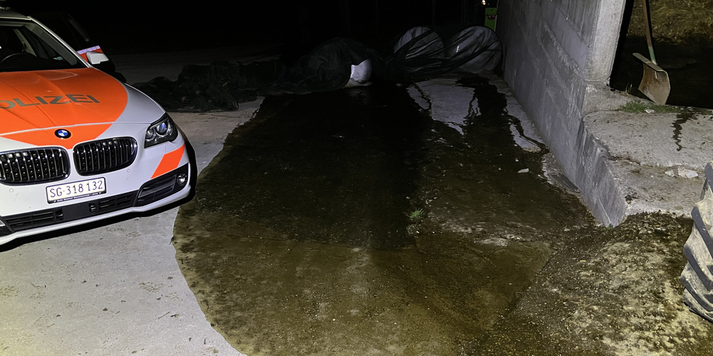 Durch schnelles Eingreifen konnte der Schaden eingedämmt werden.