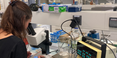 Christina Giger bei der Projektarbeit mit dem CataRhex 3