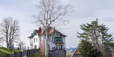 Die Birke am oberen Rand des Casinoparks muss gefällt werden.
