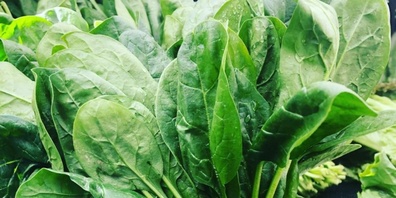 Ob er stark macht oder nicht - Spinat ist auf alle Fälle vielfältig und schmackhaft.