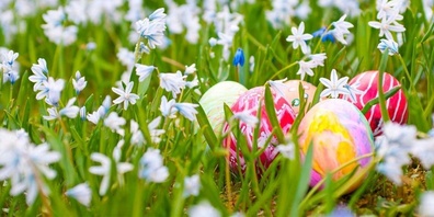Osteröffnungszeitungen Stadtverwaltung und Energie Kreuzlingen.