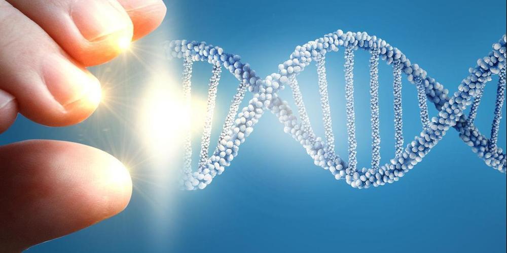 Wer ist gefahren? Ein DNA-Test soll Klarheit schaffen.