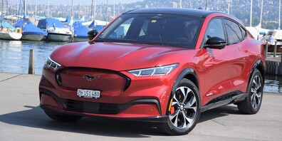 Mit etwas gutem Willen kann man den Mustang erkennen.