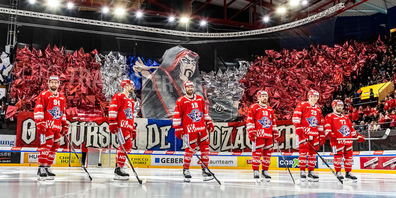 Die SCRJ Lakers modifizieren die eigene Match-Berichterstattung. So ist nach jedem Heimspiel ein Spieler-Interview geplant. (Archivbild)