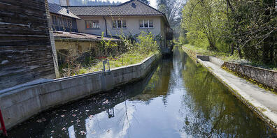Im Kanton Thurgau soll die heutige Stromproduktion aus Wasserkraft erhalten und etwa an der Murg auch ausgebaut werden.