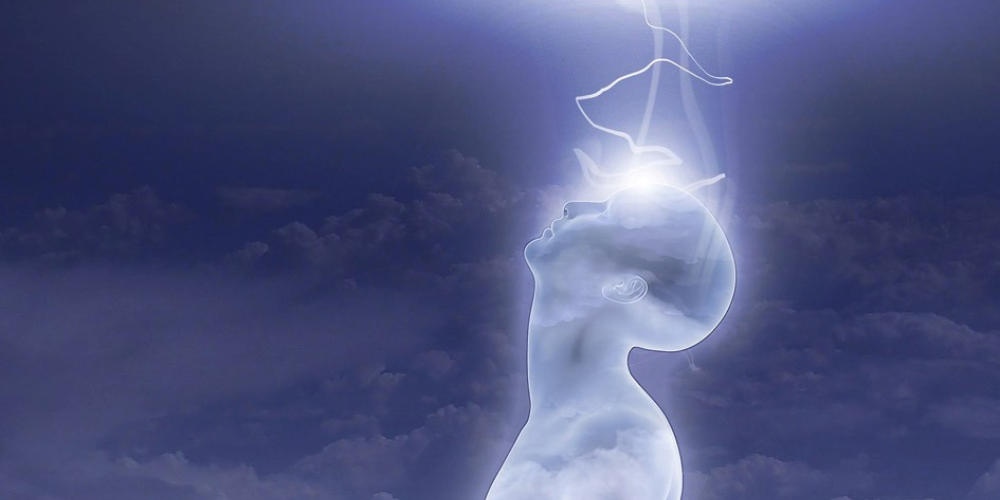 Haben wir einen eigenen Willen?