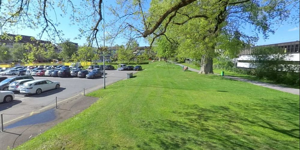 Die GLP kritisiert den Ersatz der Kieswege durch Asphalt, die Gestaltung des Spielplatzes und mögliche Beeinträchtigungen der Bäume. (Archivbild)