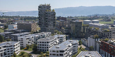 Neubauten in Rotkreuz ZG: Im boomenden Kanton, dessen Bevölkerung 2022 um 1,0 Prozent gewachsen ist, ist es schwierig, günstige Wohnungen zu finden. (Archivaufnahme)