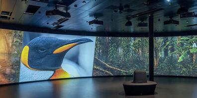 Im Zoo Zürich gibt es ein neues Naturschutzzentrum mit begehbarem 360-Grad-Kino.