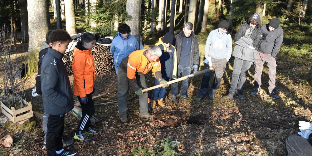 Die Schüler der Buebeflade packen im Wissholz-Wald bei Gossau kräftig an.