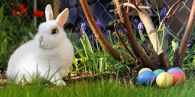 Vier Tage Zeit, um zu tun, was das Herz begehrt. (Symbolbild)