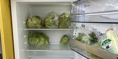 Grüner Inhalt als Symbol für Nachhaltigkeit.