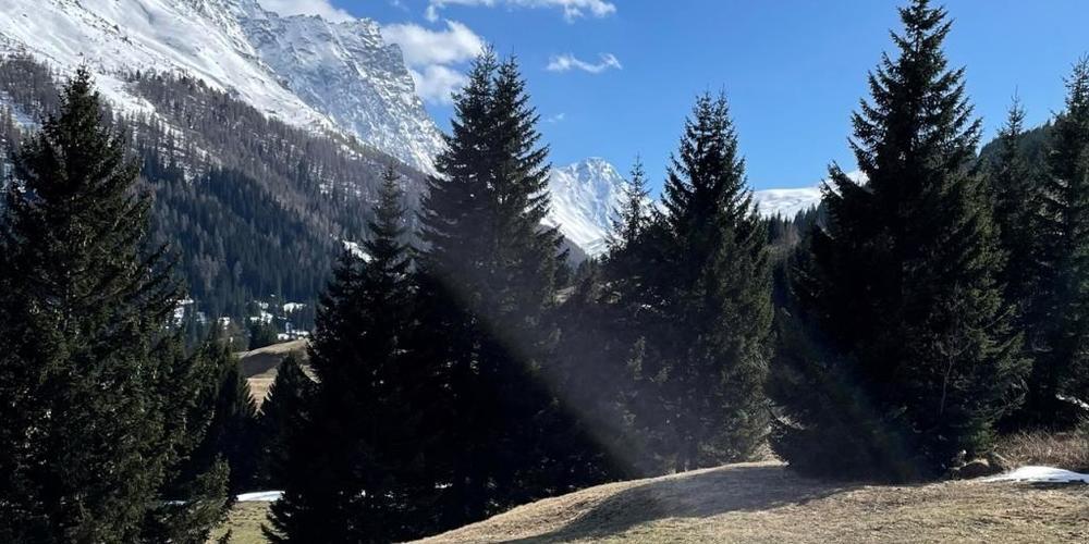 Der 29-jährige Gleitschirmpilot stürzte auf das Wiesland des Landeplatzes beim Maiensäss Malmigiucr oberhalb Parsonz.