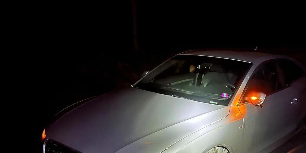 Ein Autofahrer hat am Montagabend bei Schlatt TG mehrere Kollisionen verursacht.
