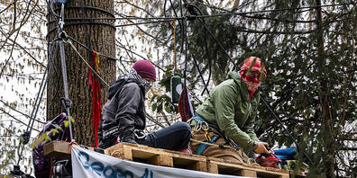 Aktivisten protestieren mit einer Waldbesetzung gegen die Rodung von rund elf Hektaren Wald für eine Deponie-Erweiterung in Rümlang ZH.