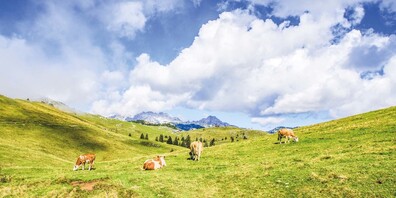 Die Schweiz soll ihren Verbrauch von fossilen Brennstoffen reduzieren. 
