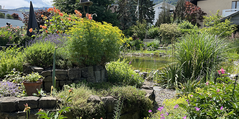 Blick in den Siegergarten vom Gartenwettbewerb 2022.