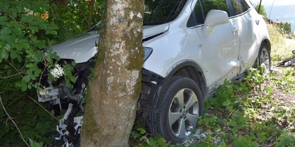 Ein Sekundenschlaf führte zur Kollision mit dem Röhrenzaun