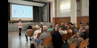 Gut besuchte Infoveranstaltung über Mehlschwalben in der Bürgerhalle Tägerwilen.