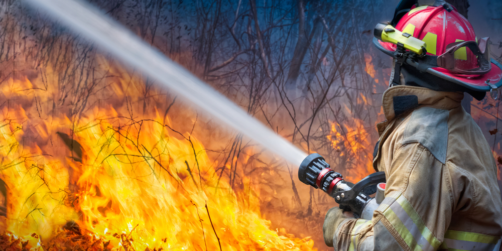 Die Einsatzkräfte konnten den Waldbrand schnell unter Kontrolle bringen (Symbolfoto)