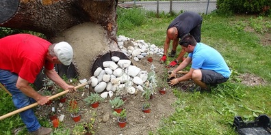 Jetzt Anmeldung zum Kurs: Mehr Natur im Garten.
