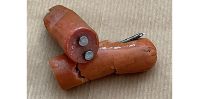Sind hier Hundehasser am Werk? In Buttikon wurden an zwei Orten Fleischstücke gefunden, die mit Nägeln durchsetzt waren.